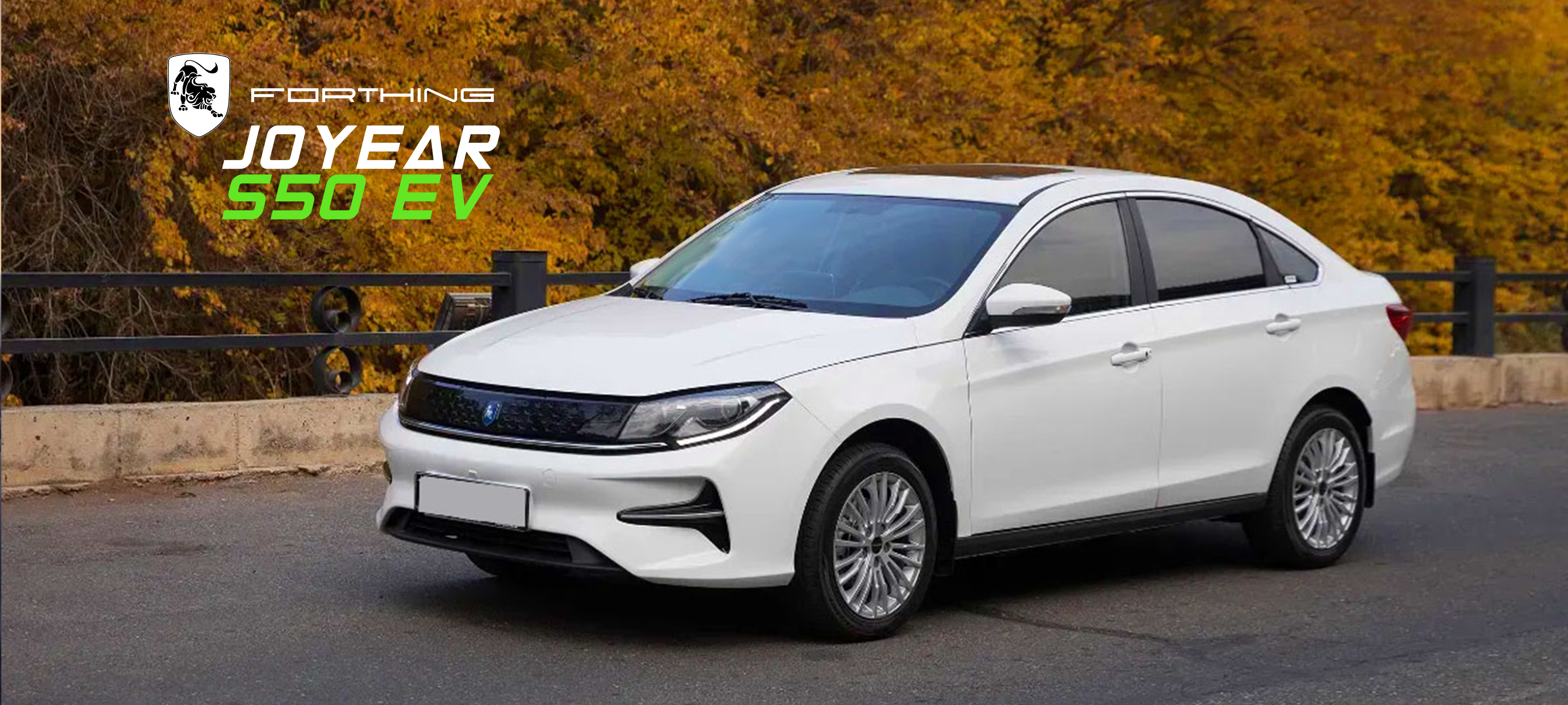 FORTHING S50 EV
