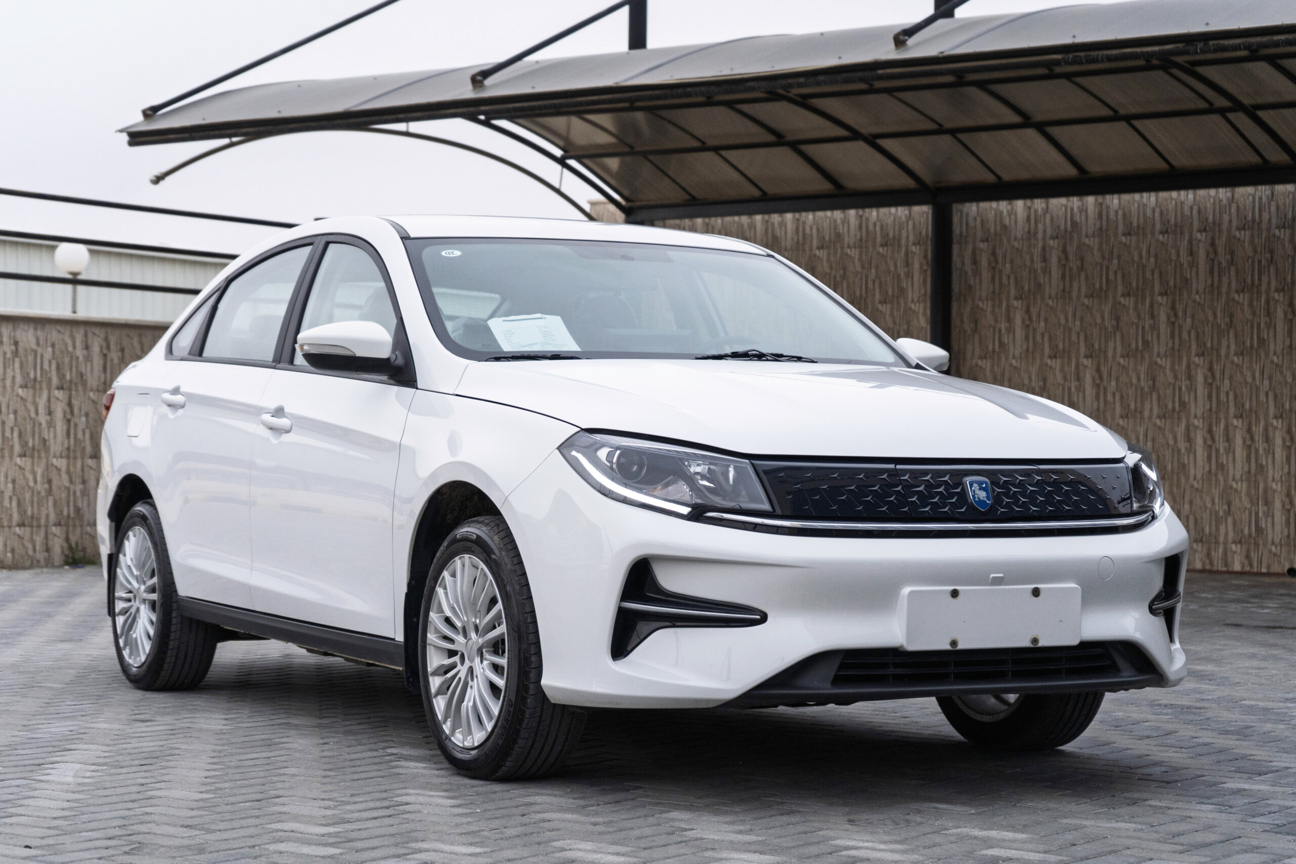 FORTHING S50 EV