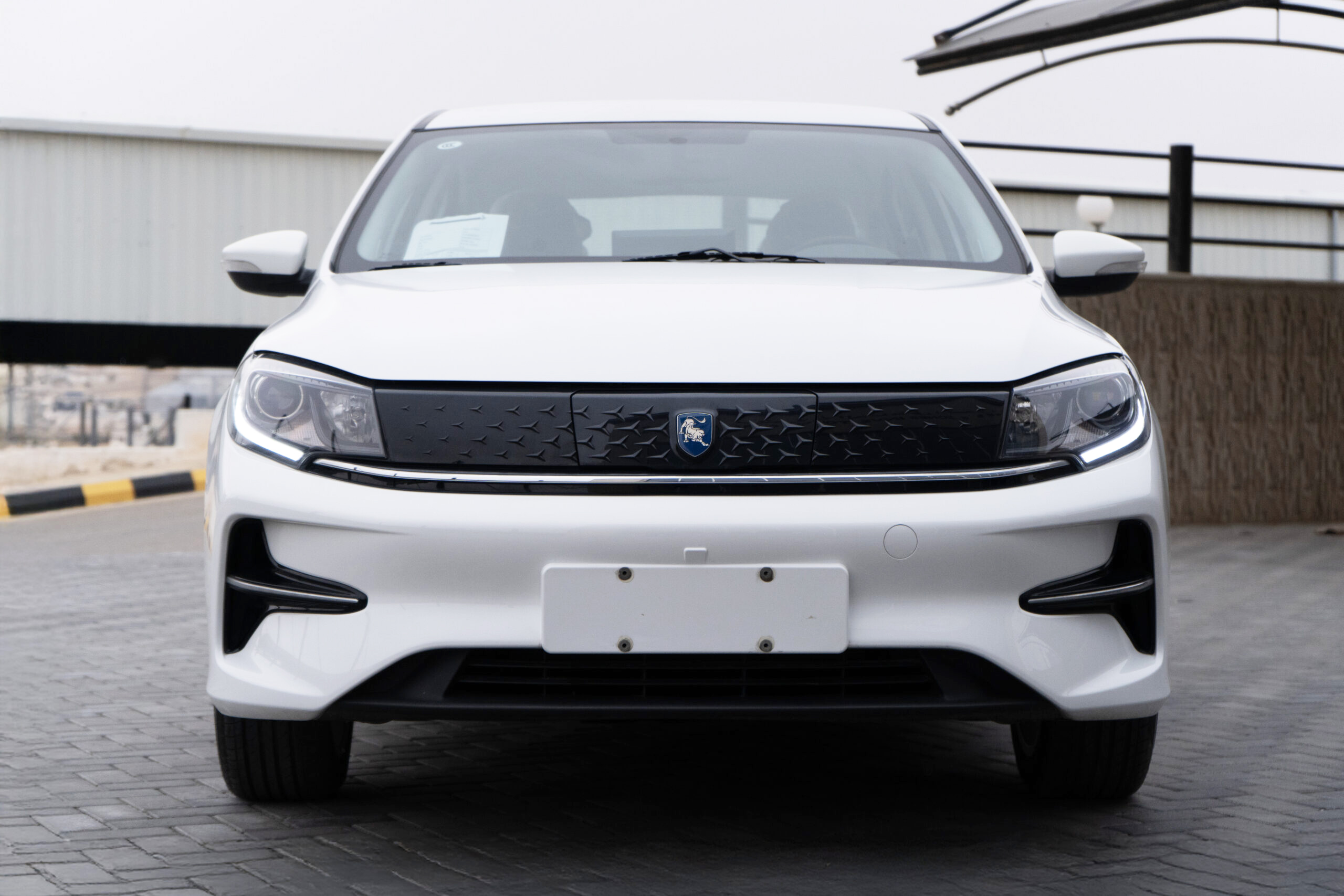 FORTHING S50 EV